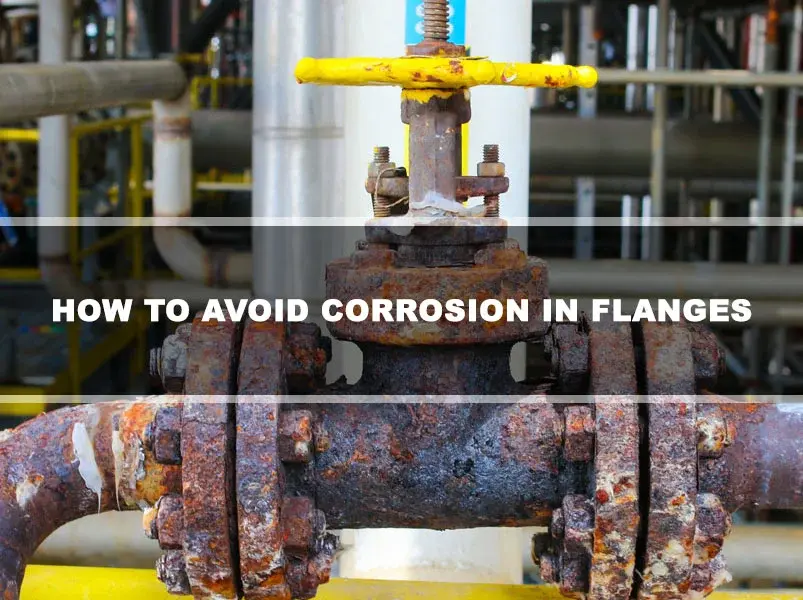 corrosion-resistant flange