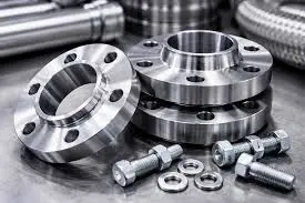 Corrosion Resistance Flanges: Materials and Protection Methods